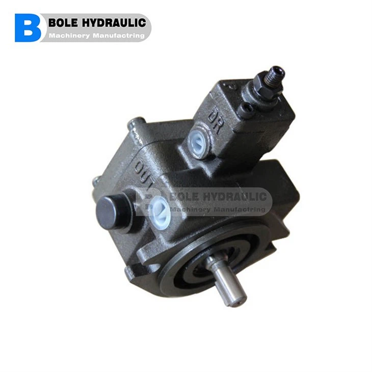 VB1-24F-A2 Variable Displacement Vane Pumps